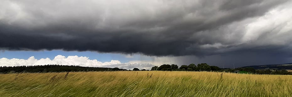 Beitragsbild 12 von 12 Juli