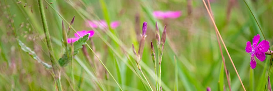 Beitragsbild Farbkombinationen