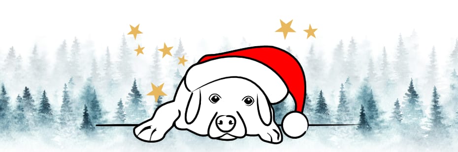 Beitragsbild umweltfreundliche Weihnachtskarten