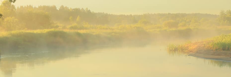 Beitragsbild Naturschutz Projekte