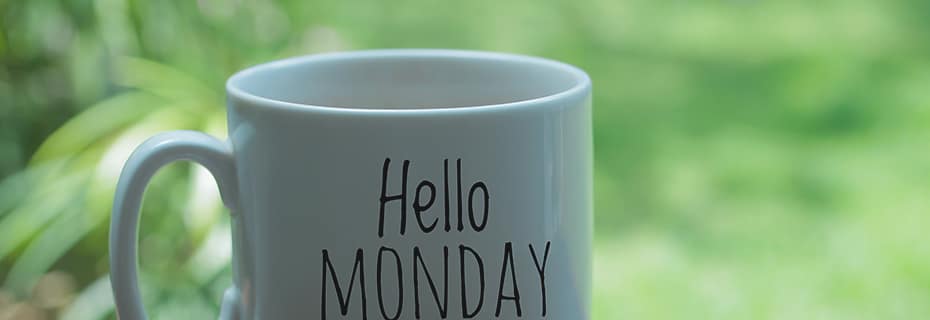 12 von 12 Februar 2024 Rosenmontag