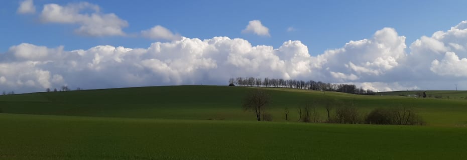 Beitragsbild Monatsrückblick März