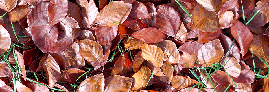 Monatsrückblick November 2025