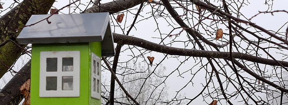 Beitragsbild 12 von 12 Dezember 2024