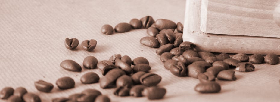 Beitragsbild Farbe des Jahres 2025