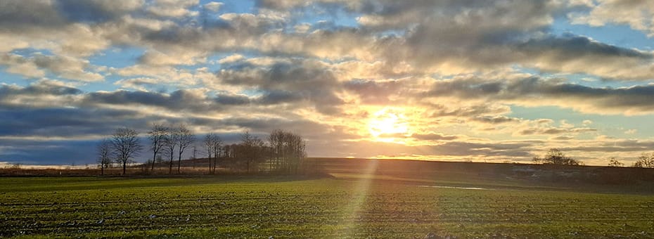 Beitragsbild 12 von12 Januar 2025