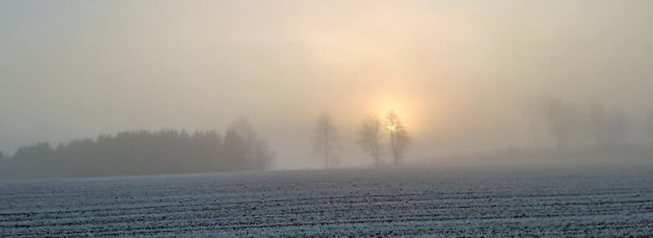 Beitragsbild Monatsrückblick Januar 2025