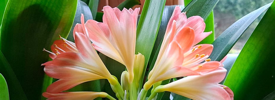 Beitragsbild Februar 2025