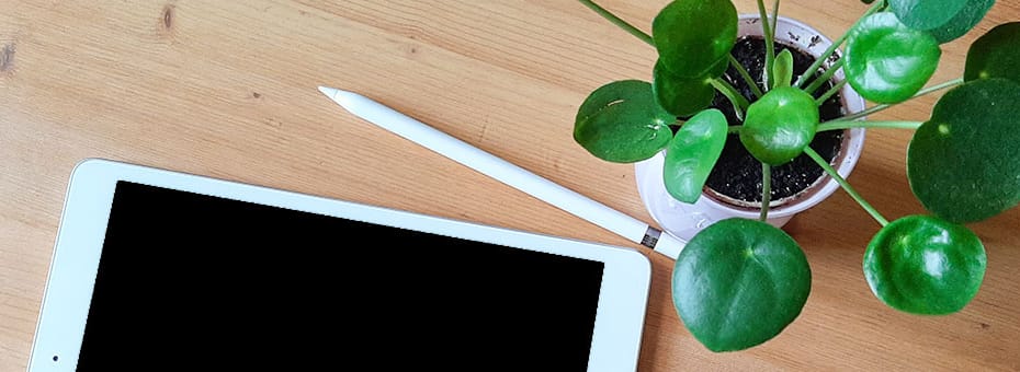 Grünes Büro - Beitragsbild