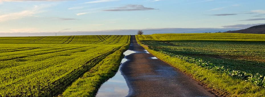 Beitragsbild Rückblick Februar 2025