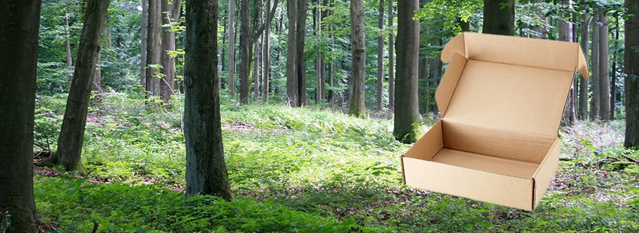 Beitragsbild Bio alles gut?