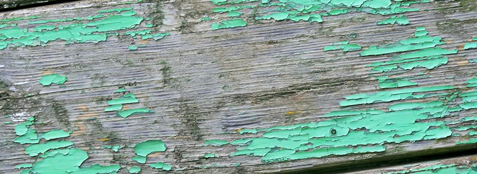 Beitragsbild nachhaltige Designerin