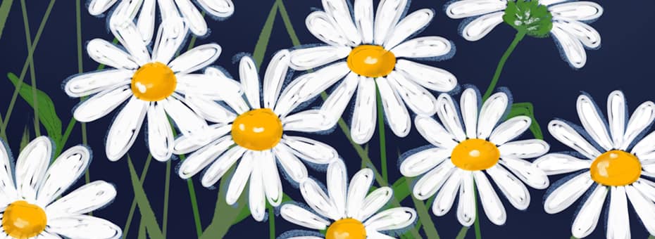 Beitragsbild Natur inspiriertes Design