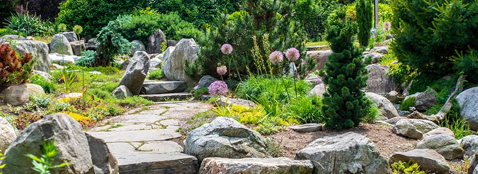 Beitragsbild Prospektgestaltung vom Profi