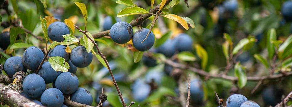 Beitragsbild Rückblick September