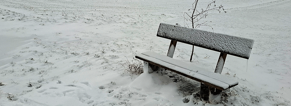 Beitragsbild 12 von 12 Januar 2026