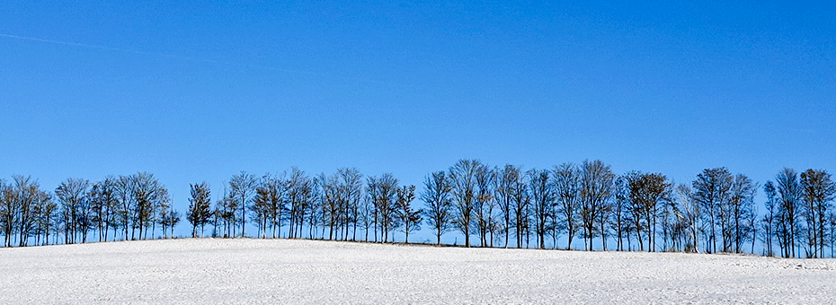 Beitragsbild Klarheit