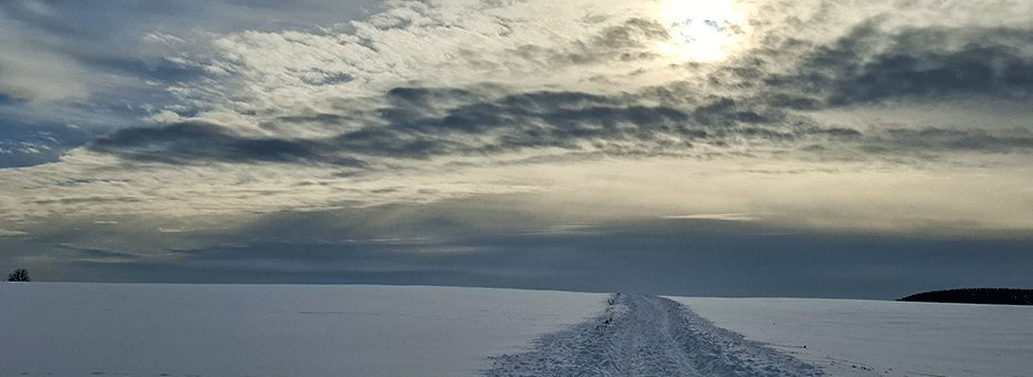 Beitragsbild Monatsrückblick Januar 2026