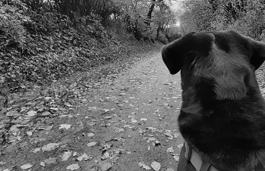 Jahresrückblick 2023