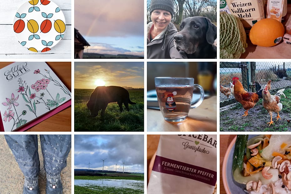 12 von 12. Ein ganz normaler Tag in 12 Bildern.